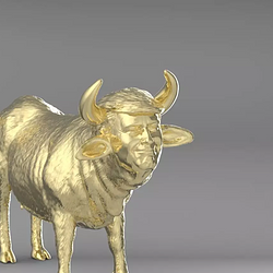 Trump cow