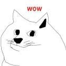 DOGEXD