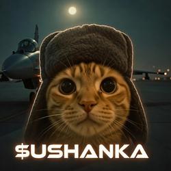 USHANKA