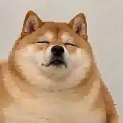 SI