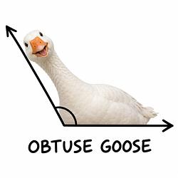 obtuse