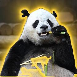 BAO / BNB
