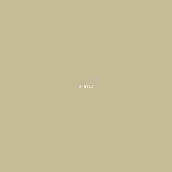WHEELCHAIN