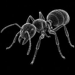 ANT / WETH