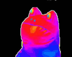 kniorf