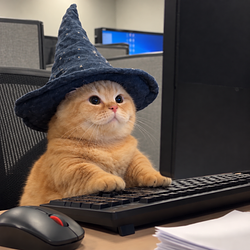 WIZCAT