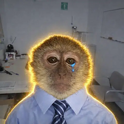Monkey / SOL