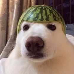 MELONㅤ / USDC