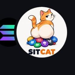 Sit Cat
