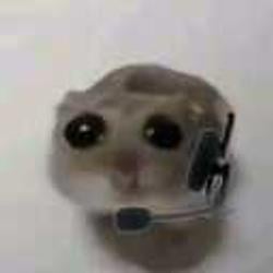 BimoJri