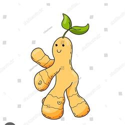 ginger
