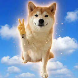 peaceinu / SOL