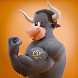 CZBULL / BNB