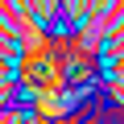 Kattens logo