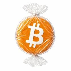 wBTC / SOL