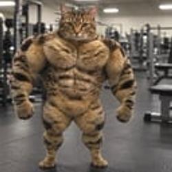 GIGACAT