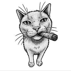 THUGCAT / SOL