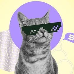 cat / SOL