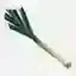 leek