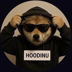 HOODINU / SOL