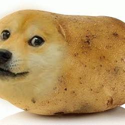 Potatodoge