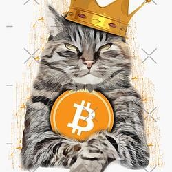 BTC CAT