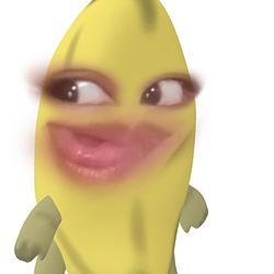 PC koin
