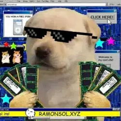 RAM