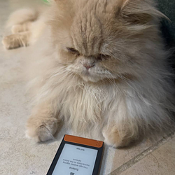 LCAT
