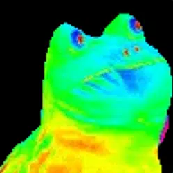 RFROG
