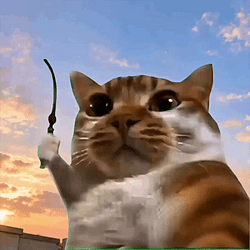 WHIPCAT