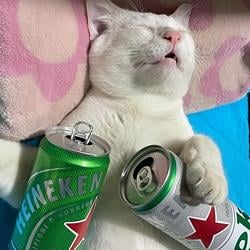 HEINEKAT