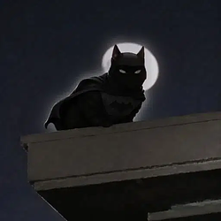Halocat / SOL