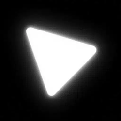 Chip