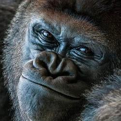 JUANITA