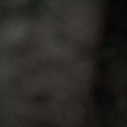 scam / USDC