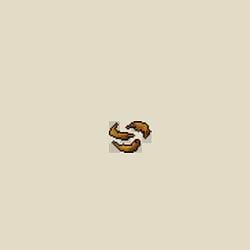 Shrimp