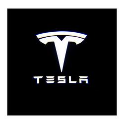 TESLA logo
