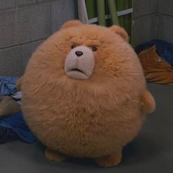 Ted Plush