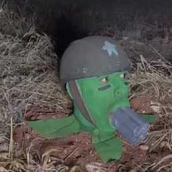 TrenchPlant