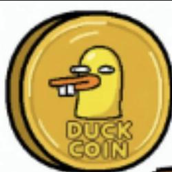 DUCK / SOL