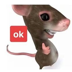 OK-Mouse🐭
