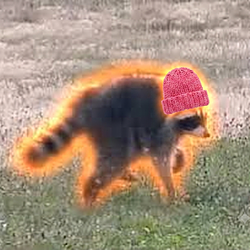 JIMWIF / SOL
