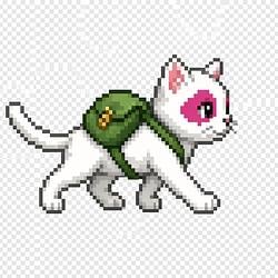 bmKITTEN