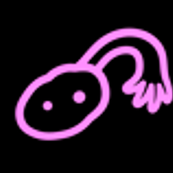ovary