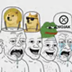 MEMECOINER