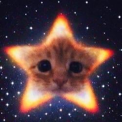 STARCAT