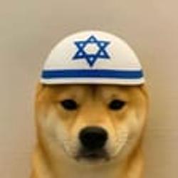 JEW DOG