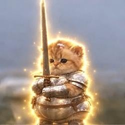 BIGSWORDCAT