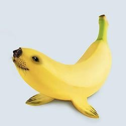 Banaseal